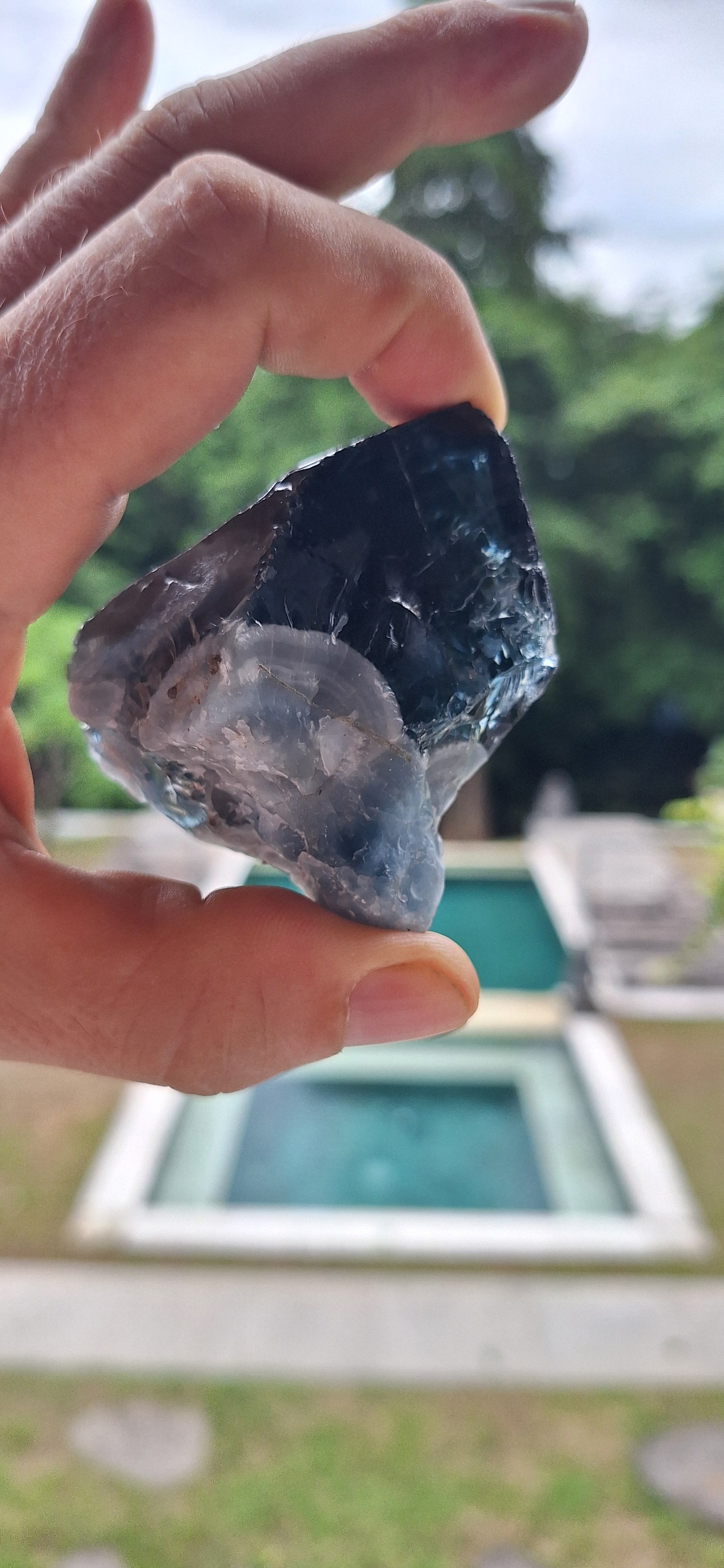 Black Sacred Rebirth