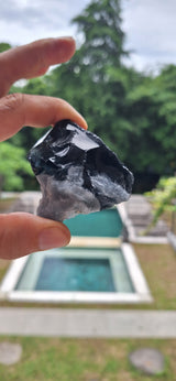 Black Sacred Rebirth