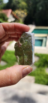 Light Green Whisper of Truth