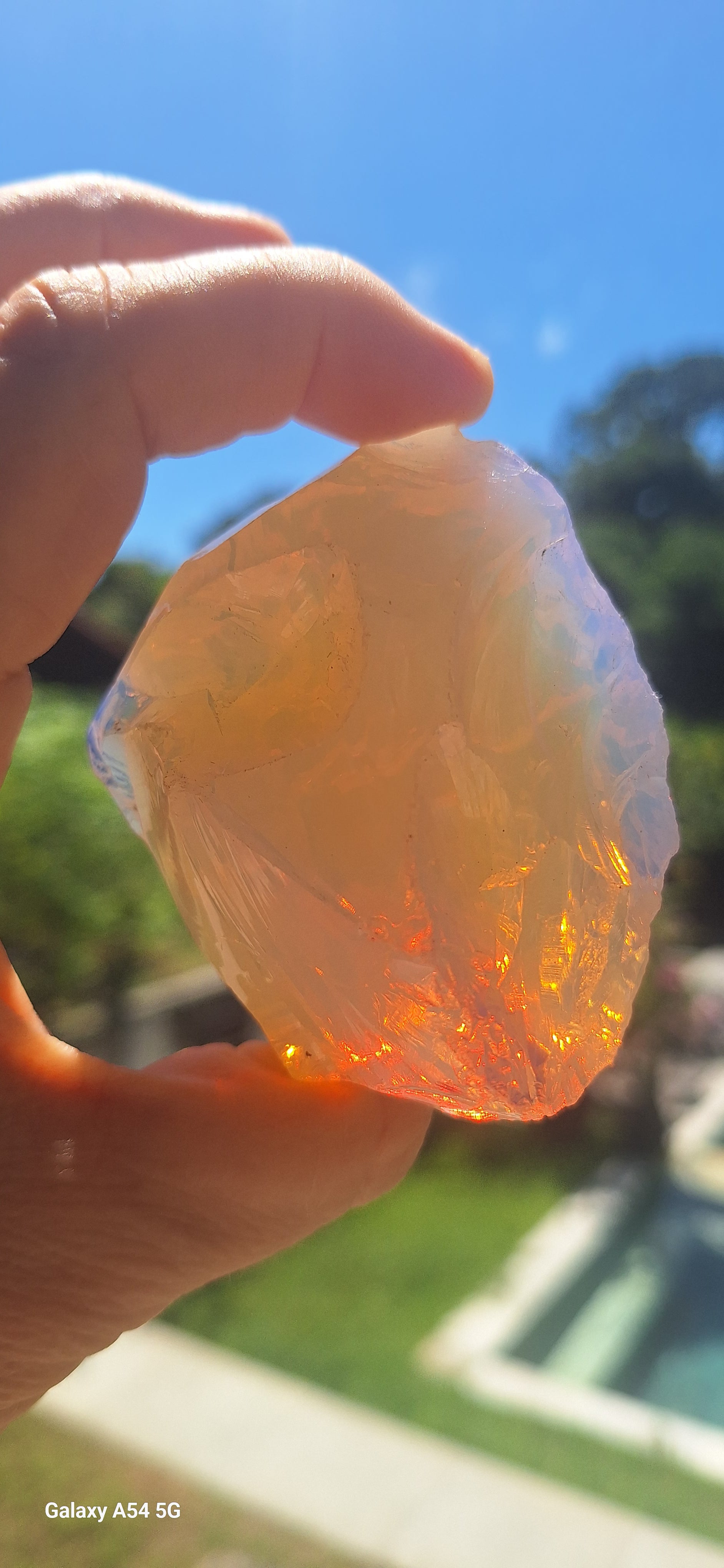 Feminine Milky Pink - Golden  Scepter Andara