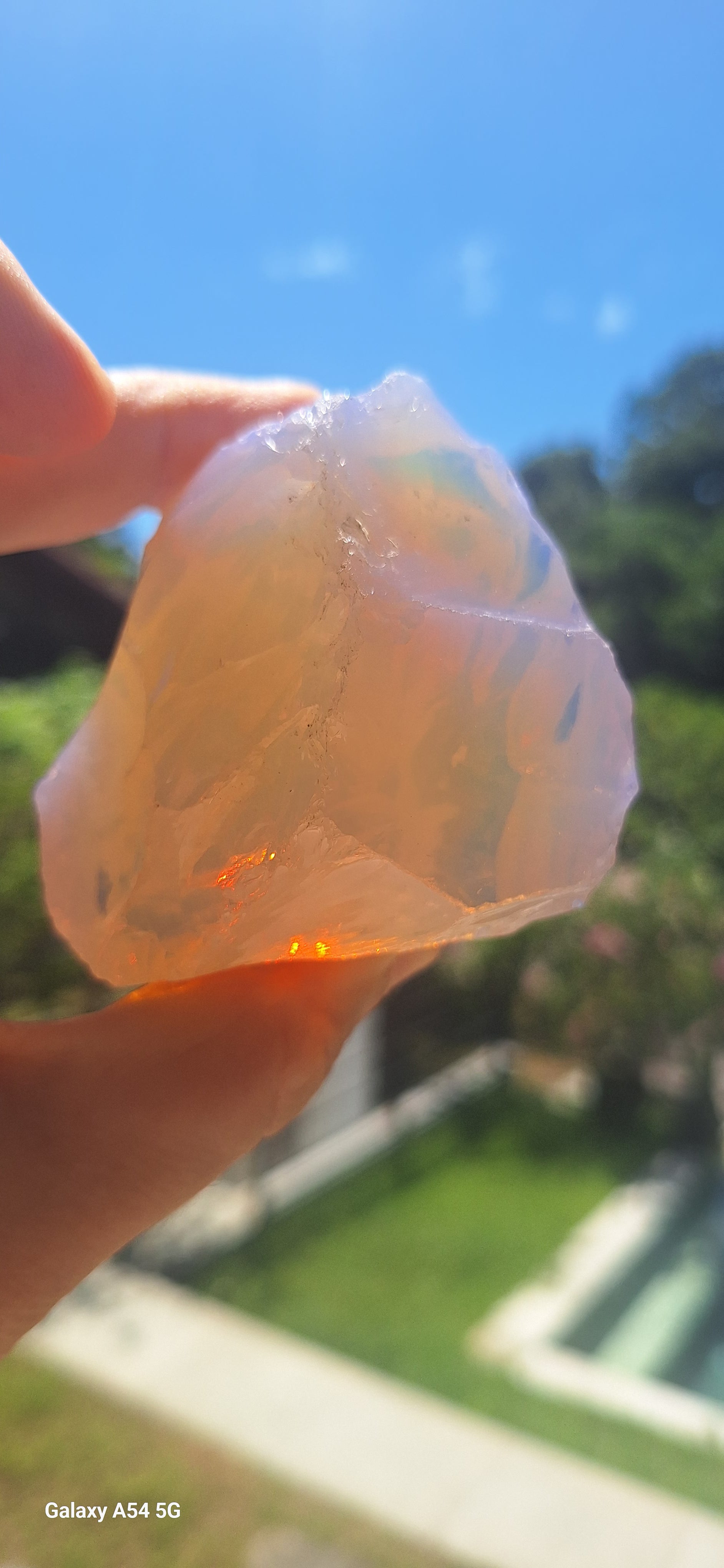 Feminine Milky Pink - Golden  Scepter Andara