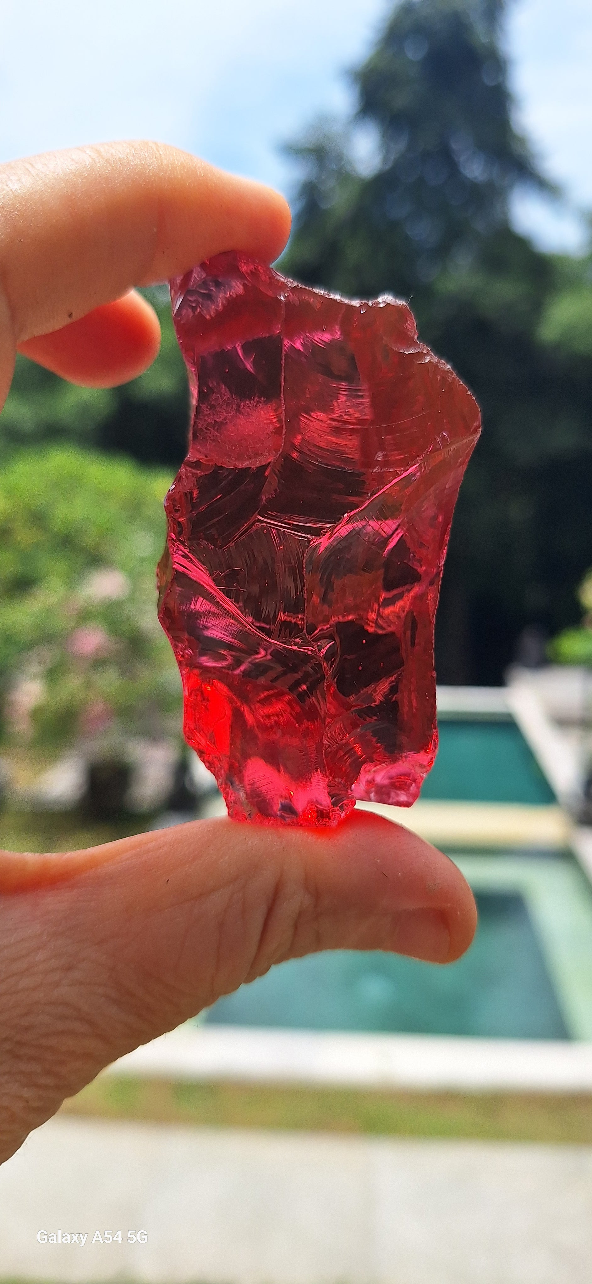 Wine Red Sensual  Andara