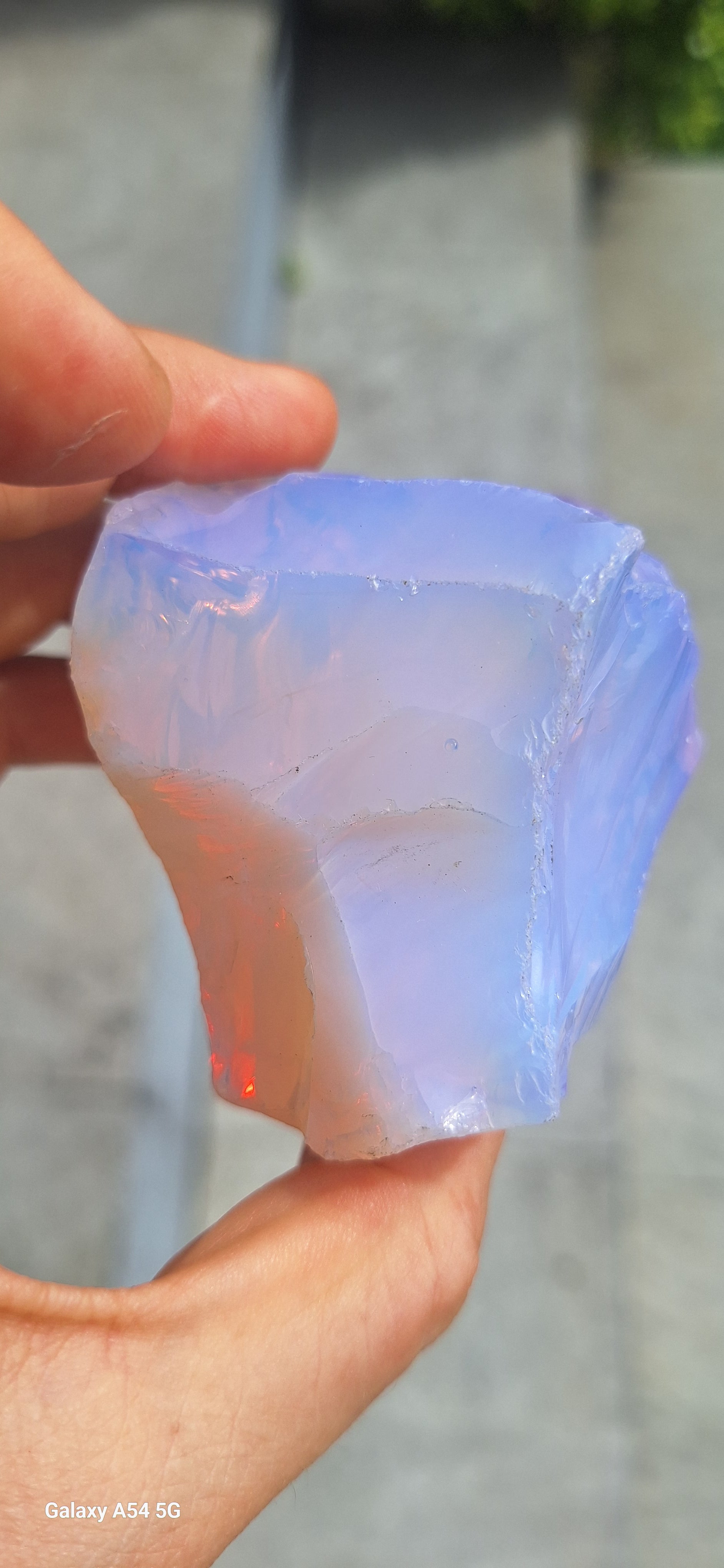 Flame of the Sacred Heart