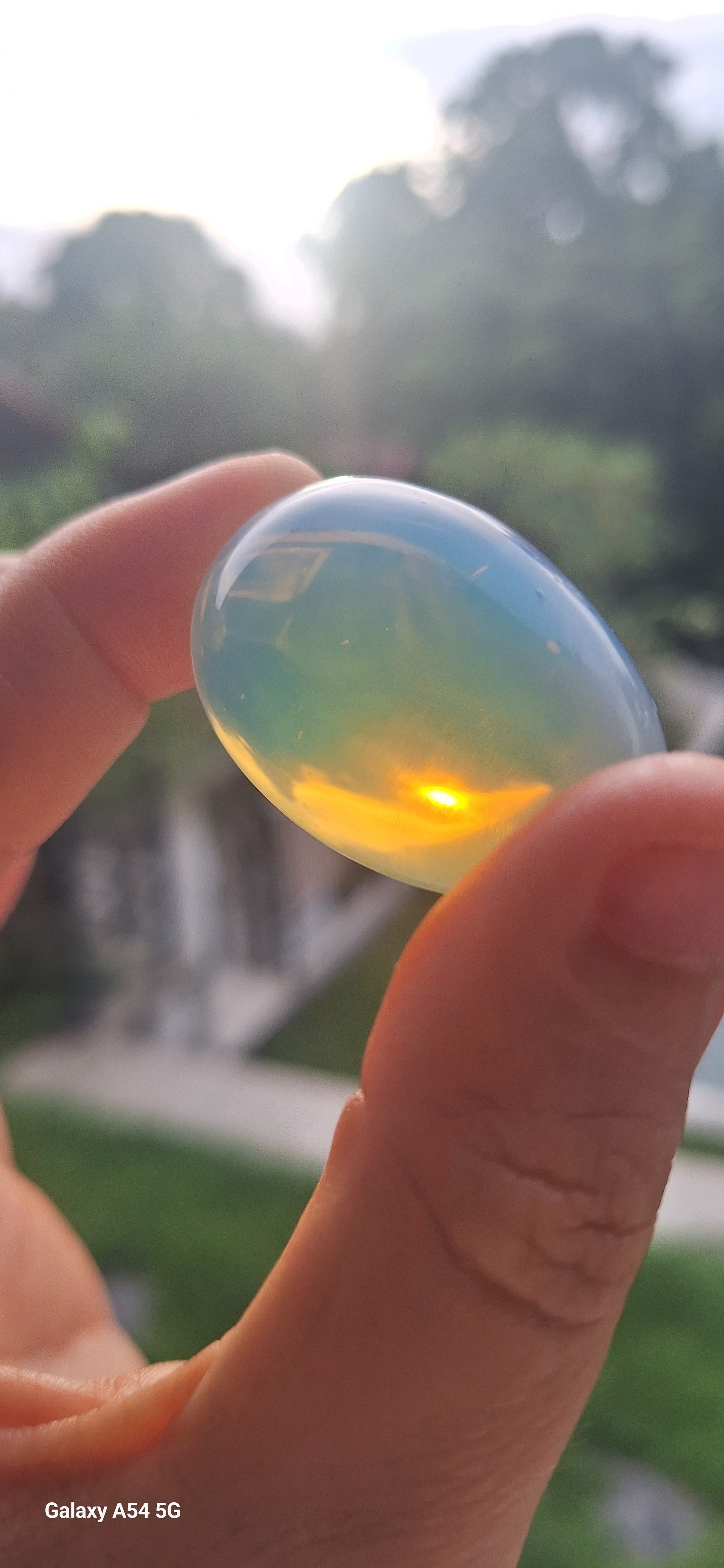 Divine Creation