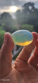 Divine Creation