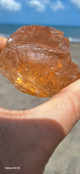 Desert Flame of Truth