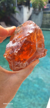 Life Force