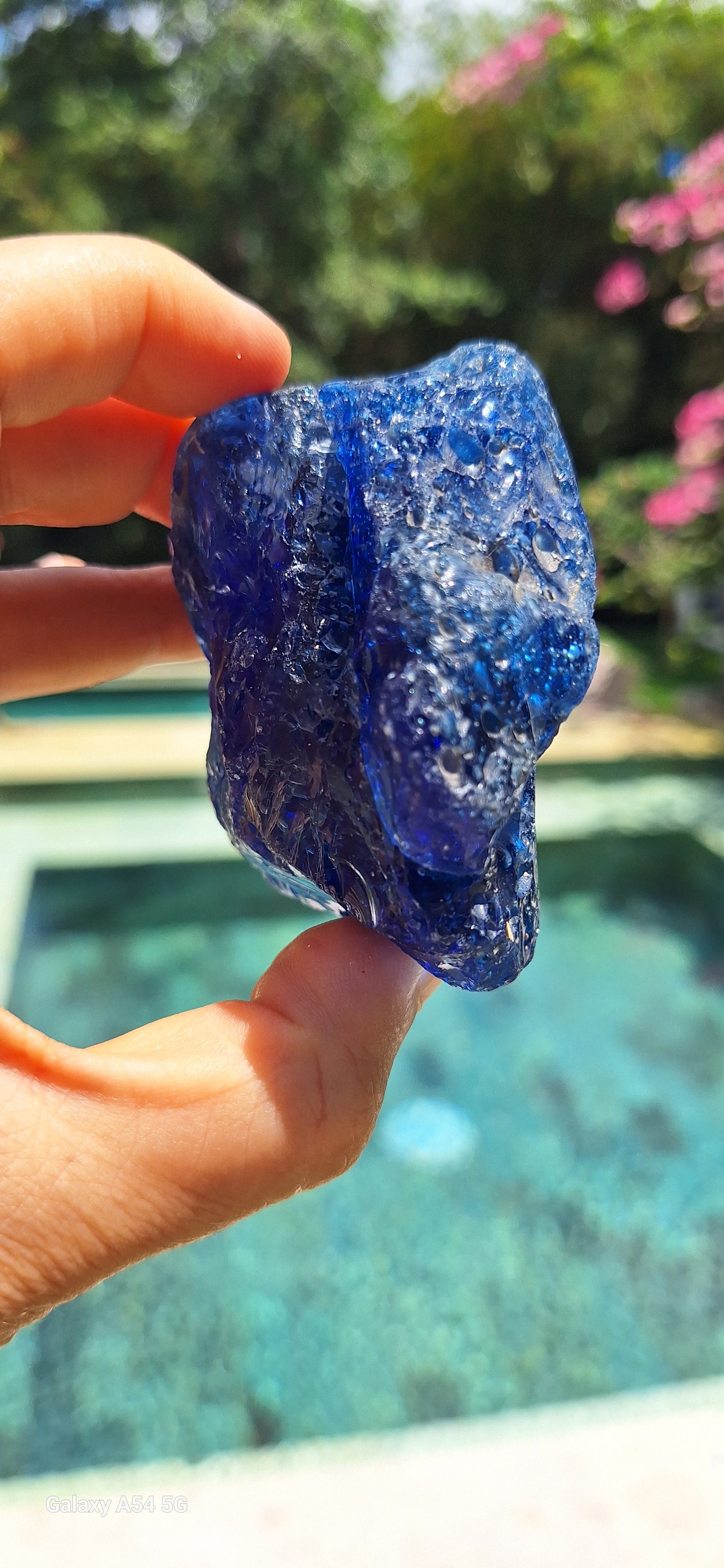 Blue Catalyst