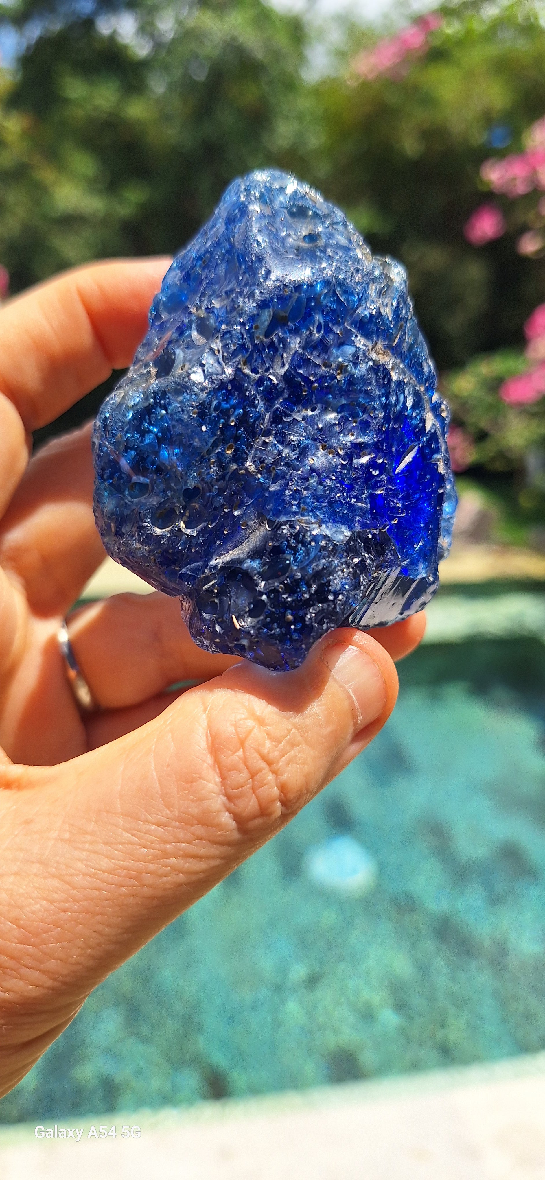 Blue Catalyst