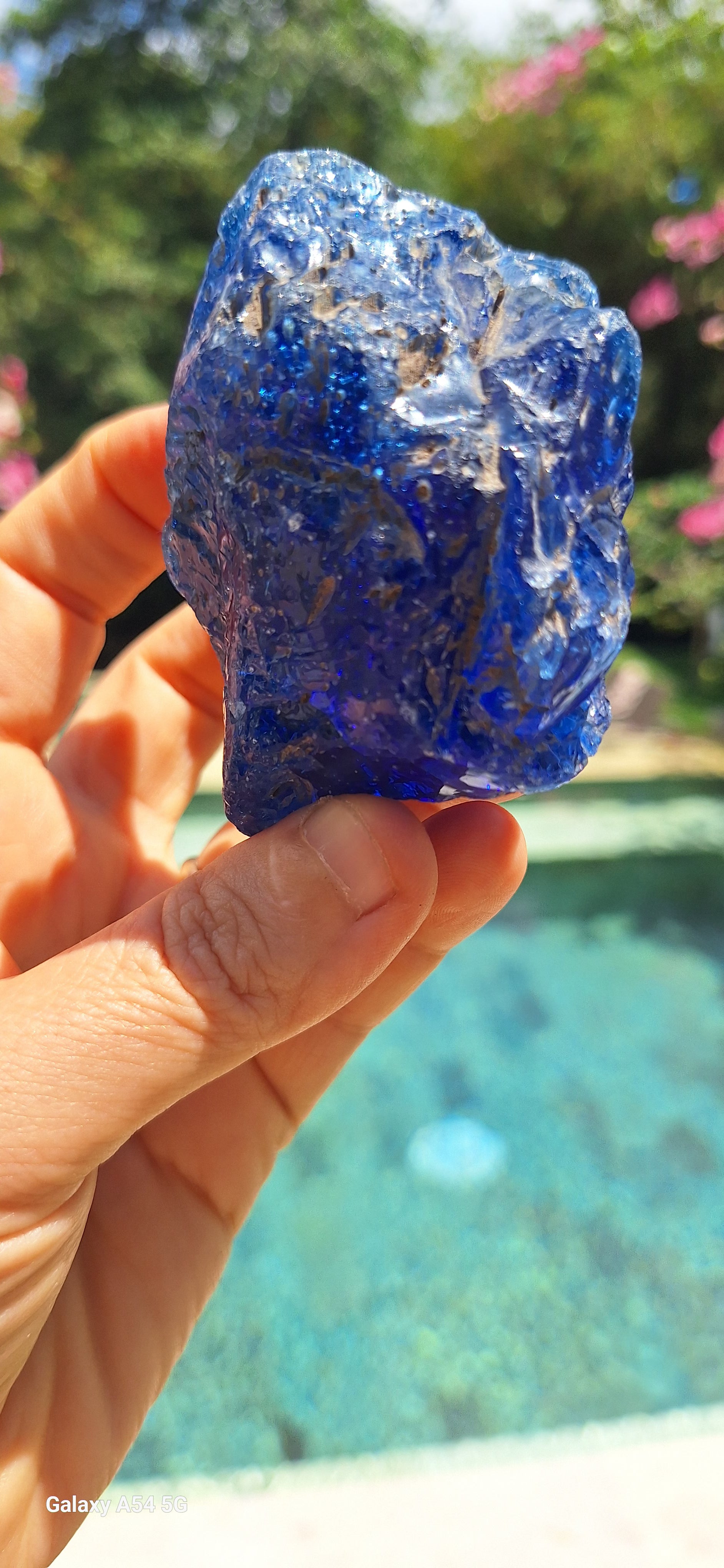 Blue Catalyst