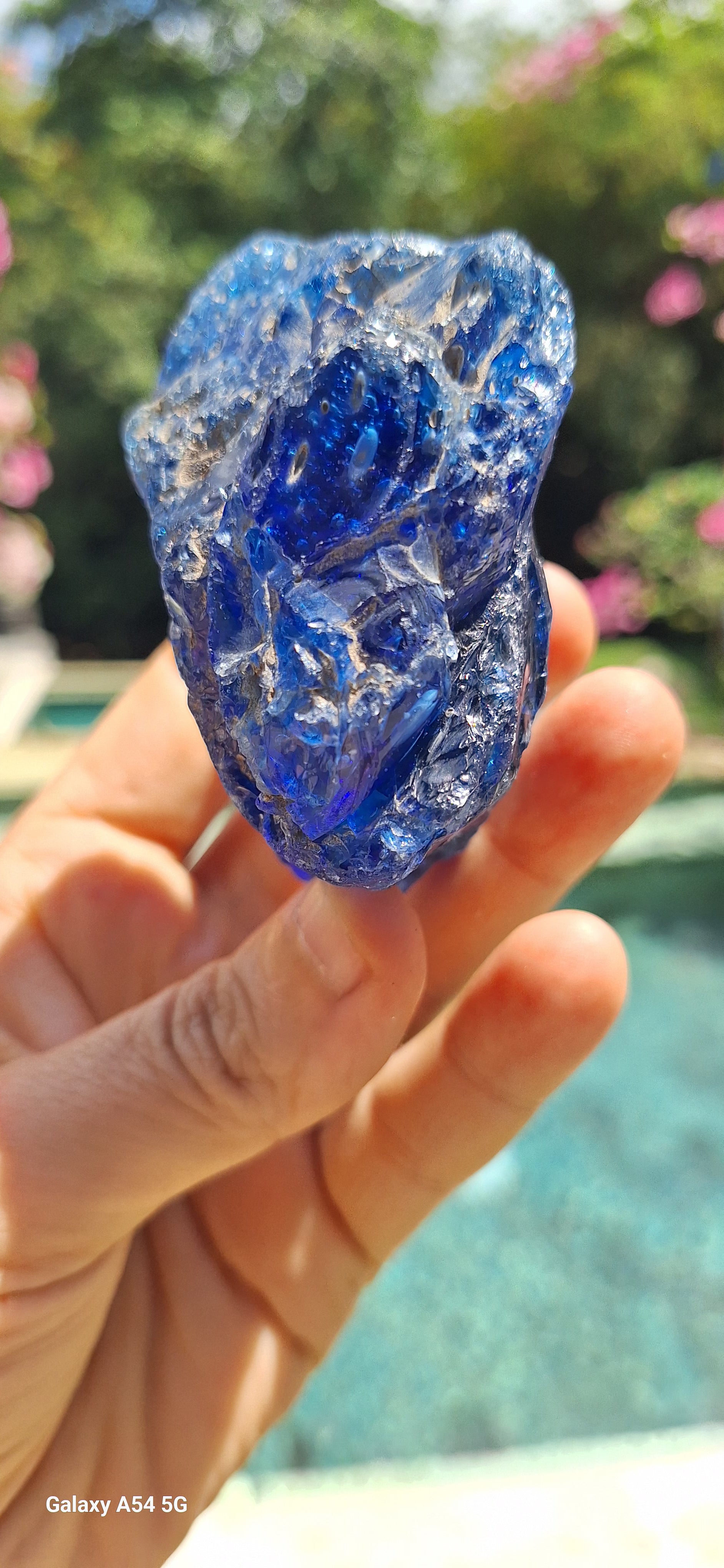 Blue Catalyst