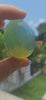 Healing Milky Blue /Gold  Andara Egg